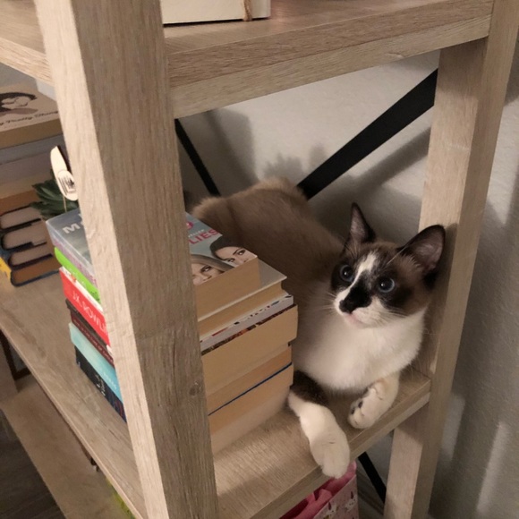 Meet Me 😆 - Picture 15 of 16